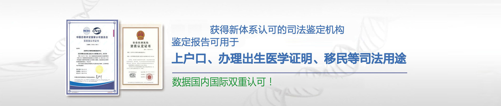 撕碎機(jī)專(zhuān)題